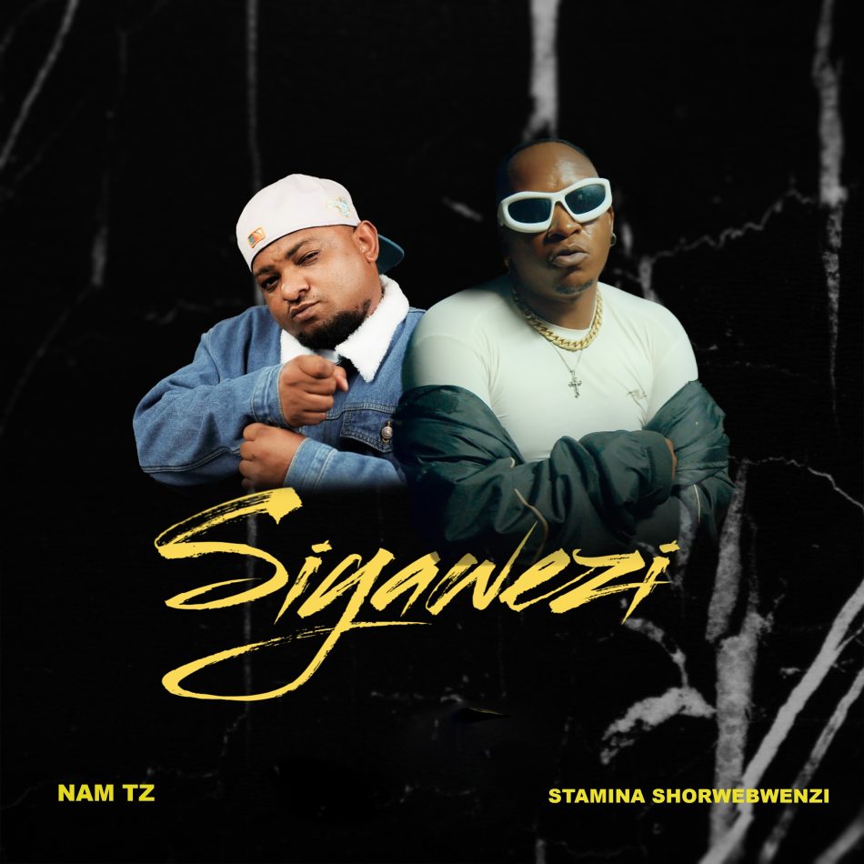 Nam Tz - Siyawezi Ft Stamina Shorwebwenzi