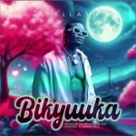 Pallaso – Bikyuuka